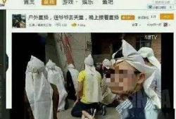 直播性爱视频,网络直播的道德边界与监管挑战