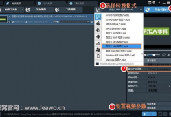 爱奇艺视频转换器,轻松实现多格式视频转换，畅享观影新体验
