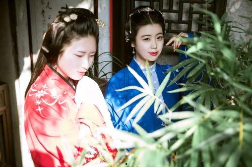 汉服视频,一场视觉与文化的盛宴